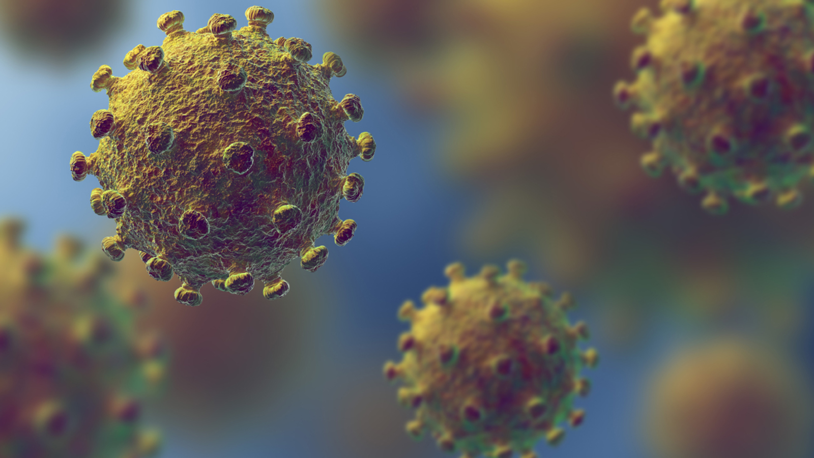 Coronavirus